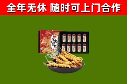 汝南烟酒回收冬虫夏草礼盒.jpg