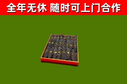 汝南回收海参